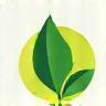 Icon representing sustainability